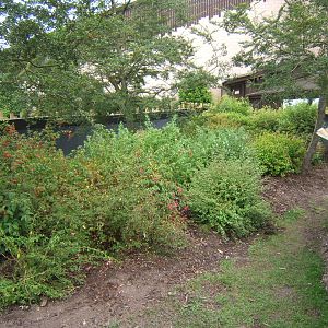 New out door Sloth exhibit