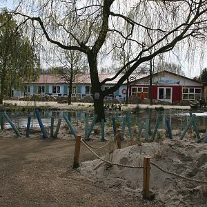 African penguin exhibit