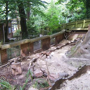 view of Meerkat enclosure