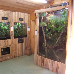 View of Invert room with new Viv for Blue-spotted Tree Monitor