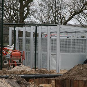 Lion house building site