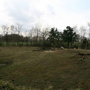 mixed species exhibit