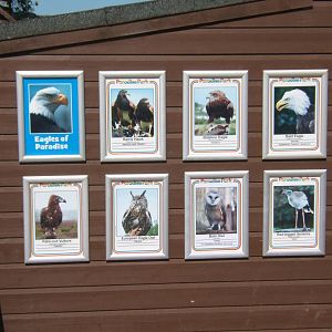 The Flying squad whos who