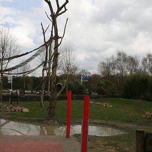 Red panda & Asian small-clawed otter exhibit