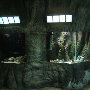 View of exhibit