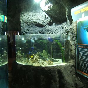 View of exhibit