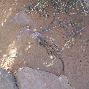 Can anyone identify?