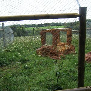 View of new Serval enclosure