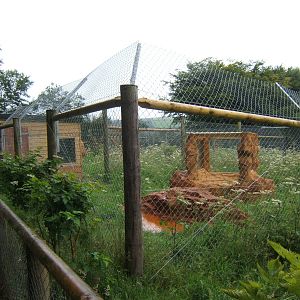 View of new Serval enclosure