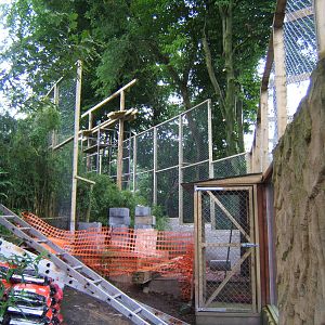 View of Carpathian Lynx enclosure extension