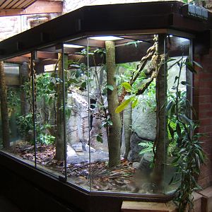 Green Tree Monitor exhibit