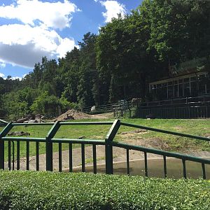 Elephant paddock - Zoo Gdansk 20.07.16.