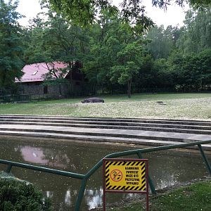 Hippo paddock - Zoo Gdansk 20.07.16.