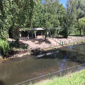 Pygmy Hippopotamus enclosure - Zoo Gdansk 20.07.16.