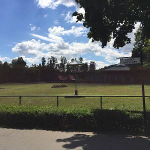 Savannah paddock - Zoo Gdansk 20.07.16.