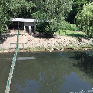 South American Tapir enclosure - Zoo Gdansk 20.07.16.