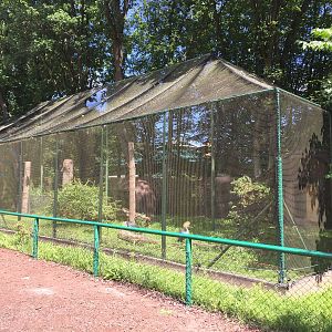 Crowned Crane aviary - Zoo Gdansk 20.07.16.