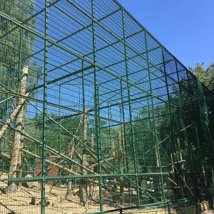 Mandrill enclosure - Zoo Gdansk 20.07.16.
