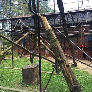 Chimpanzee enclosure - Zoo Gdansk 20.07.16.