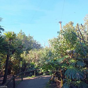 View in North-east Section Walkthrough Aviary - Caversham Wildlife Park
