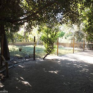 Swamp Wallaby Enclosure - Caversham Wildlife Park