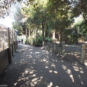 View in North-east Section - Caversham Wildlife Park