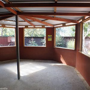 Lace Monitor Viewing Area - Caversham Wildlife Park