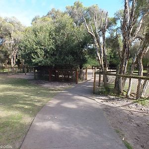 Part of Kangaroo Walkthrough - Caversham Wildlife Park