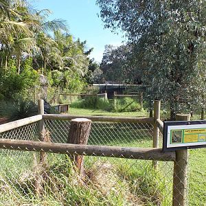 Tammr Wallaby and Cape Barren Goose Enclosure - Caversham Wildlife Park