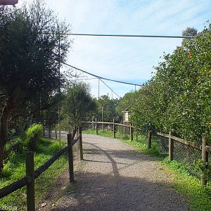 View in South-western Section Walkthrough Aviary - Caversham Wildlife Park