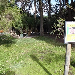 Quokka Enclosure - Caversham Wildlife Park