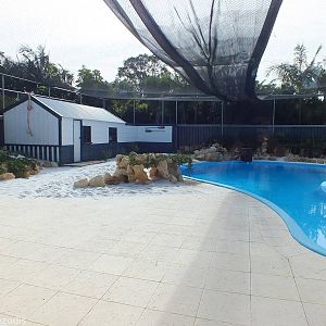 Enclosure Under Construction (I guess for Little Blue Penguins) - Caversham