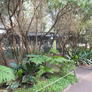View of Aviary - Caversham Wildlife Park