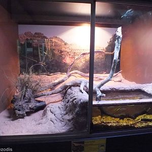 Water Python Enclosure - Caversham Wildlife Park