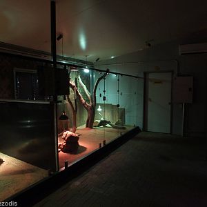 View in the Reptile House - Caversham Wildlife Park