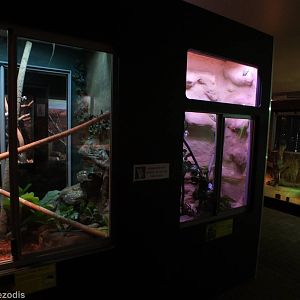 View in Reptile House - Caversham Wildlife Park