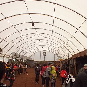Inside of 'Meet the Wombat and Friends' Show Area - Caversham Wildlife Park