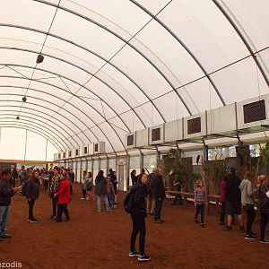 'Meet the Wombat and Friends' Show Area - Caversham Wildlife Park