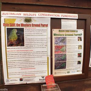 Save The Ground Parrot Sign - Caversham Wildlife Park