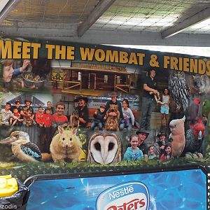 'Meet the Wombat and Friends' Show Sign - Caversham Wildlife Park