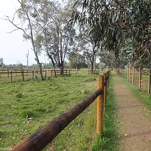 View in the Domestics Area - Caversham Wildlife Park