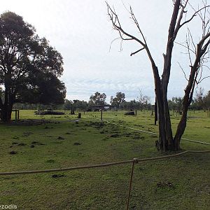 View in Domestics Area - Caversham Wildlife Park
