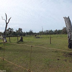 View in Domestics Area - Caversham Wildlife Park