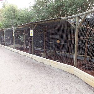 Enclosures with Bettongs and Brushtail Possums - Caversham Wildlife Park