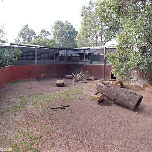 Hairy-nosed Wombat Enclosure - Caversham Wildlife Park