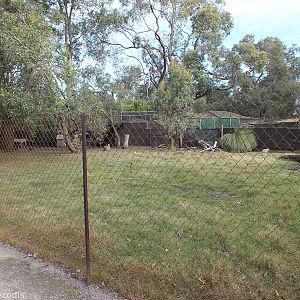 Northern Nailtail Wallaby Enclosure - Caversham Wildlife Park