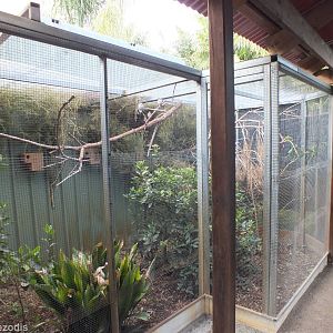 Small Bird Aviaries - Caversham Wildlife Park