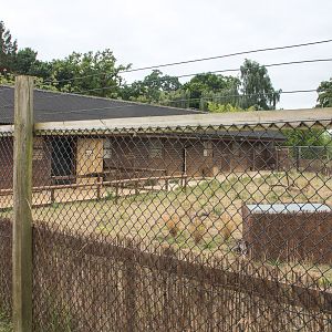 Little Africa (exhibit) : Cotswold WP : 14 Aug 2016