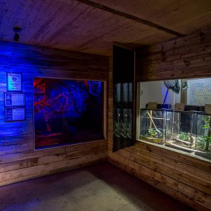 Little Africa (exhibit) : Cotswold WP : 14 Aug 2016