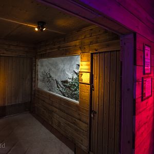 Little Africa (exhibit) : Cotswold WP : 14 Aug 2016